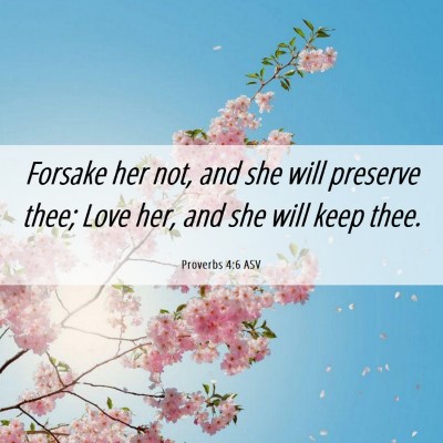 Picture 06 - Proverbs 4:6 ASV - Forsake her not, and she will preserve thee; Love - Bible Verse Picture
