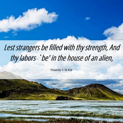 Picture 06 - Proverbs 5:10 ASV - Lest strangers be filled with thy strength, And - Bible Verse Picture