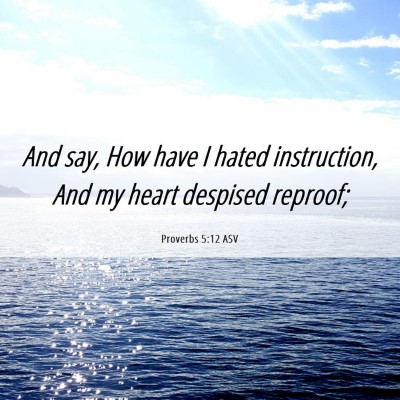 Picture 06 - Proverbs 5:12 ASV - And say, How have I hated instruction, And my - Bible Verse Picture