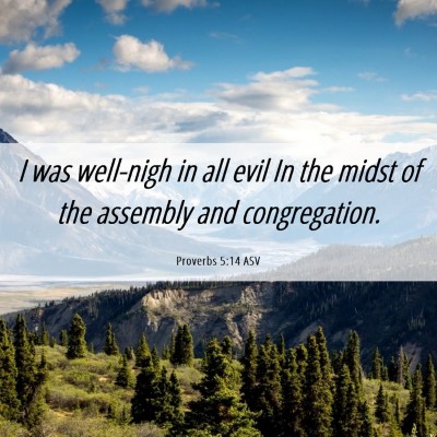 Picture 06 - Proverbs 5:14 ASV - I was well-nigh in all evil In the midst of the - Bible Verse Picture