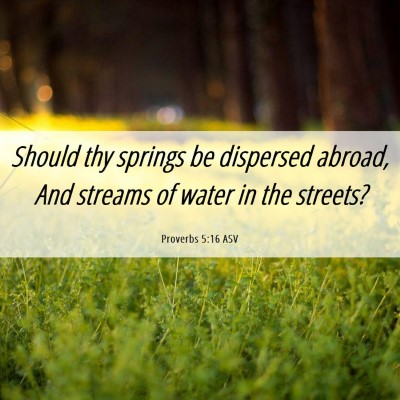 Picture 06 - Proverbs 5:16 ASV - Should thy springs be dispersed abroad, And - Bible Verse Picture