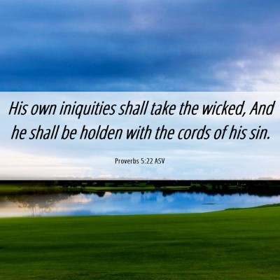 Picture 06 - Proverbs 5:22 ASV - His own iniquities shall take the wicked, And he - Bible Verse Picture