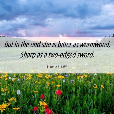 Picture 06 - Proverbs 5:4 ASV - But in the end she is bitter as wormwood, Sharp - Bible Verse Picture