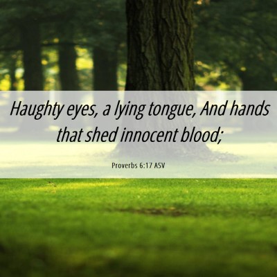 Picture 06 - Proverbs 6:17 ASV - Haughty eyes, a lying tongue, And hands that shed - Bible Verse Picture