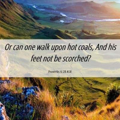 Picture 06 - Proverbs 6:28 ASV - Or can one walk upon hot coals, And his feet not - Bible Verse Picture