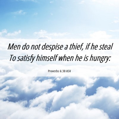 Picture 06 - Proverbs 6:30 ASV - Men do not despise a thief, if he steal To - Bible Verse Picture