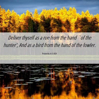 Picture 06 - Proverbs 6:5 ASV - Deliver thyself as a roe from the hand `of the - Bible Verse Picture