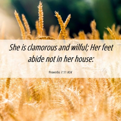 Picture 06 - Proverbs 7:11 ASV - She is clamorous and wilful; Her feet abide not - Bible Verse Picture
