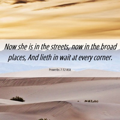 Picture 06 - Proverbs 7:12 ASV - Now she is in the streets, now in the broad - Bible Verse Picture
