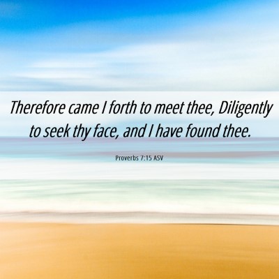 Picture 06 - Proverbs 7:15 ASV - Therefore came I forth to meet thee, Diligently - Bible Verse Picture