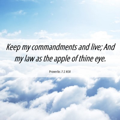 Picture 06 - Proverbs 7:2 ASV - Keep my commandments and live; And my law as the - Bible Verse Picture
