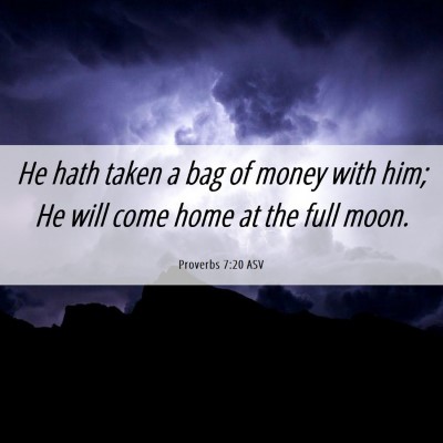 Picture 06 - Proverbs 7:20 ASV - He hath taken a bag of money with him; He will - Bible Verse Picture