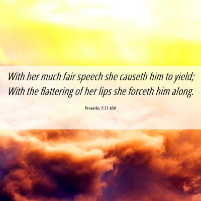 Picture 06 - Proverbs 7:21 ASV - With her much fair speech she causeth him to - Bible Verse Picture