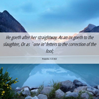 Picture 06 - Proverbs 7:22 ASV - He goeth after her straightway, As an ox goeth to - Bible Verse Picture
