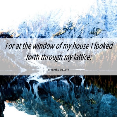 Picture 06 - Proverbs 7:6 ASV - For at the window of my house I looked forth - Bible Verse Picture