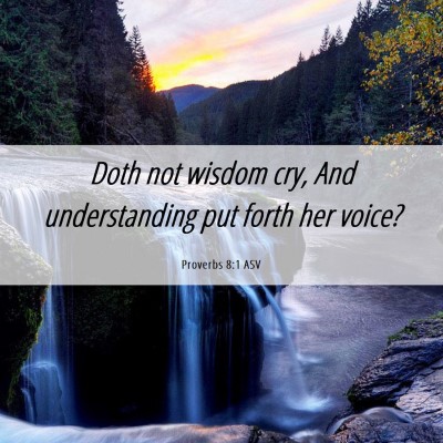 Picture 06 - Proverbs 8:1 ASV - Doth not wisdom cry, And understanding put forth - Bible Verse Picture