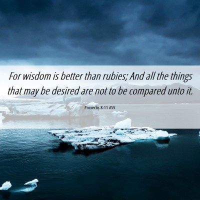 Picture 06 - Proverbs 8:11 ASV - For wisdom is better than rubies; And all the - Bible Verse Picture