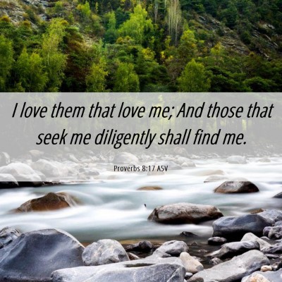 Picture 06 - Proverbs 8:17 ASV - I love them that love me; And those that seek me - Bible Verse Picture