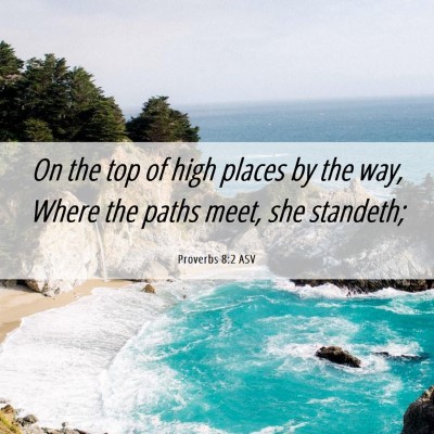 Picture 06 - Proverbs 8:2 ASV - On the top of high places by the way, Where the - Bible Verse Picture