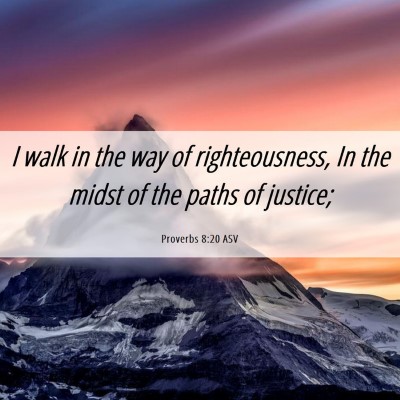 Picture 06 - Proverbs 8:20 ASV - I walk in the way of righteousness, In the midst - Bible Verse Picture