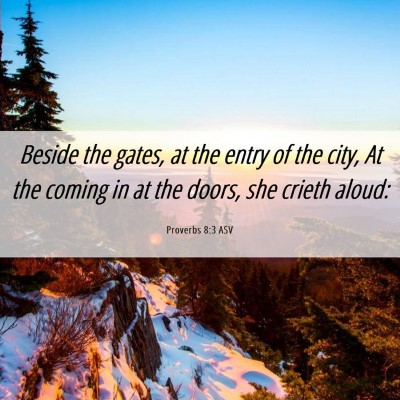 Picture 06 - Proverbs 8:3 ASV - Beside the gates, at the entry of the city, At - Bible Verse Picture