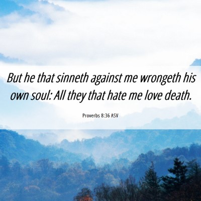 Picture 06 - Proverbs 8:36 ASV - But he that sinneth against me wrongeth his own - Bible Verse Picture