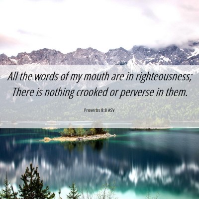 Picture 06 - Proverbs 8:8 ASV - All the words of my mouth are in righteousness; - Bible Verse Picture