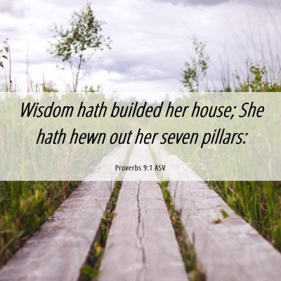 Picture 06 - Proverbs 9:1 ASV - Wisdom hath builded her house; She hath hewn out - Bible Verse Picture