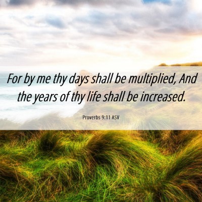 Picture 06 - Proverbs 9:11 ASV - For by me thy days shall be multiplied, And the - Bible Verse Picture