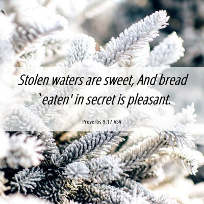 Picture 06 - Proverbs 9:17 ASV - Stolen waters are sweet, And bread `eaten' in - Bible Verse Picture