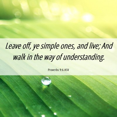 Picture 06 - Proverbs 9:6 ASV - Leave off, ye simple ones, and live; And walk in - Bible Verse Picture