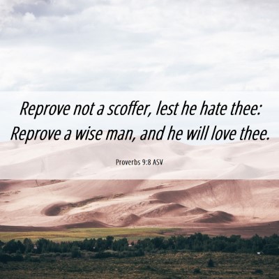 Picture 06 - Proverbs 9:8 ASV - Reprove not a scoffer, lest he hate thee: Reprove - Bible Verse Picture