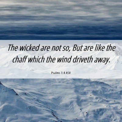 Picture 06 - Psalms 1:4 ASV - The wicked are not so, But are like the chaff - Bible Verse Picture