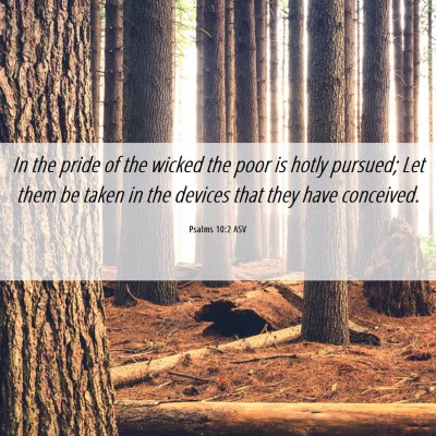 Picture 06 - Psalms 10:2 ASV - In the pride of the wicked the poor is hotly - Bible Verse Picture