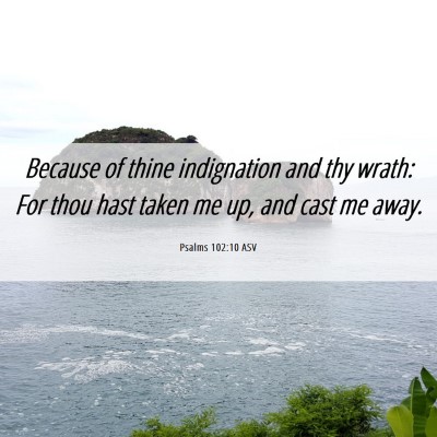 Picture 06 - Psalms 102:10 ASV - Because of thine indignation and thy wrath: For - Bible Verse Picture