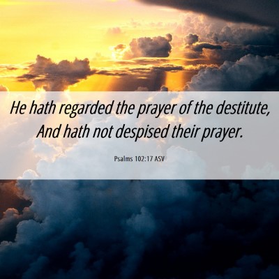 Picture 06 - Psalms 102:17 ASV - He hath regarded the prayer of the destitute, And - Bible Verse Picture