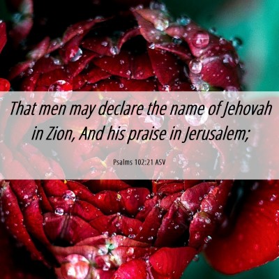 Picture 06 - Psalms 102:21 ASV - That men may declare the name of Jehovah in Zion, - Bible Verse Picture