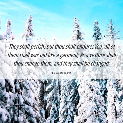 Picture 06 - Psalms 102:26 ASV - They shall perish, but thou shalt endure; Yea, - Bible Verse Picture