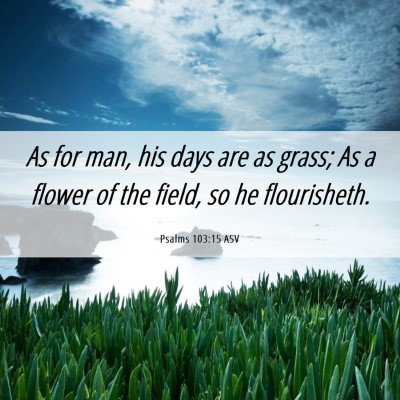 Picture 06 - Psalms 103:15 ASV - As for man, his days are as grass; As a flower of - Bible Verse Picture