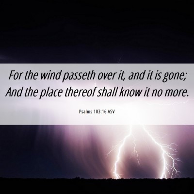 Picture 06 - Psalms 103:16 ASV - For the wind passeth over it, and it is gone; And - Bible Verse Picture
