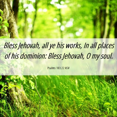 Picture 06 - Psalms 103:22 ASV - Bless Jehovah, all ye his works, In all places of - Bible Verse Picture