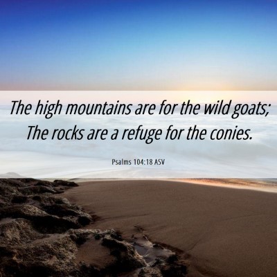 Picture 06 - Psalms 104:18 ASV - The high mountains are for the wild goats; The - Bible Verse Picture