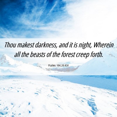 Picture 06 - Psalms 104:20 ASV - Thou makest darkness, and it is night, Wherein - Bible Verse Picture