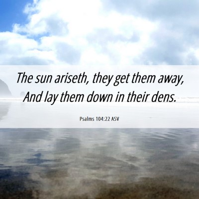 Picture 06 - Psalms 104:22 ASV - The sun ariseth, they get them away, And lay them - Bible Verse Picture
