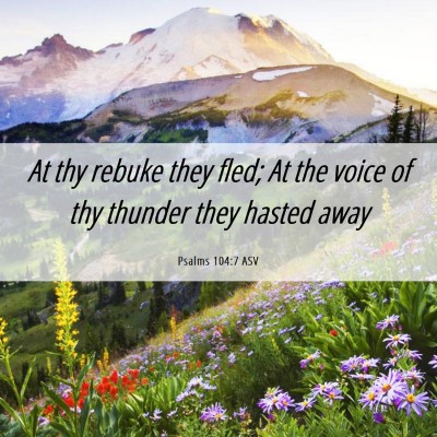 Picture 06 - Psalms 104:7 ASV - At thy rebuke they fled; At the voice of thy - Bible Verse Picture