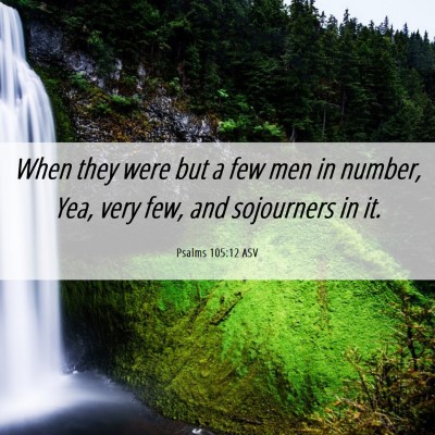 Picture 06 - Psalms 105:12 ASV - When they were but a few men in number, Yea, very - Bible Verse Picture