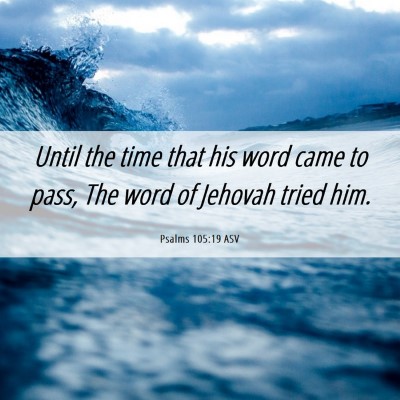 Picture 06 - Psalms 105:19 ASV - Until the time that his word came to pass, The - Bible Verse Picture
