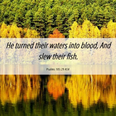 Picture 06 - Psalms 105:29 ASV - He turned their waters into blood, And slew their - Bible Verse Picture
