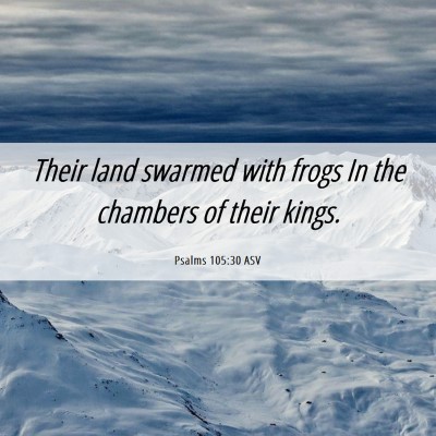 Picture 06 - Psalms 105:30 ASV - Their land swarmed with frogs In the chambers of - Bible Verse Picture