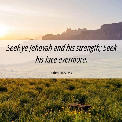 Picture 06 - Psalms 105:4 ASV - Seek ye Jehovah and his strength; Seek his face - Bible Verse Picture